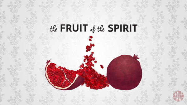 The Fruit of the Spirit | Goodness Image